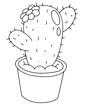Cactus 03 - 10doigts.fr